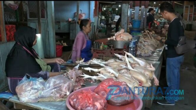 
					Harga Ayam Potong di Kota Probolinggo Tembus Rp 40 Ribu