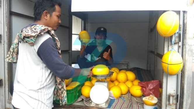 
					Timun Suri Buah Favorit untuk Berbuka Puasa