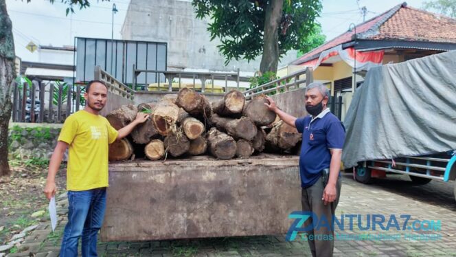 
					Terlibat Ilegal Logging, Mantan Kades Renteng Ditahan