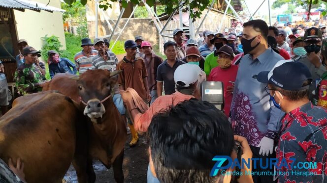
					Ditutup 2 Bulan, Pasar Hewan Wonoasih Segera Dibuka