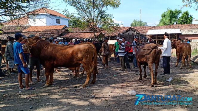 
					Pasar Hewan Segera Dibuka, Tunggu Persetujuan Bupati