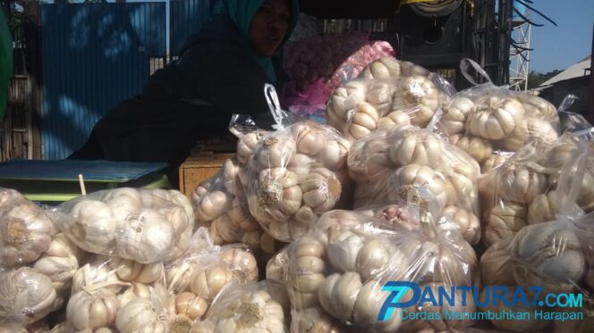
					Stok Melimpah, Harga Bawang Putih Anjlok