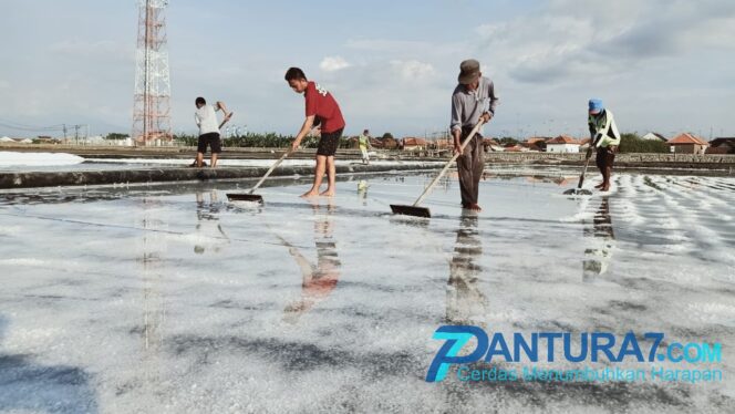 
					Pandemi Covid-19, Harga Garam Justru Meroket