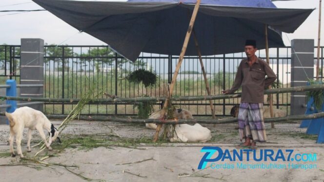 
					Sambut Idul Adha, 200 TPHS Disiapkan