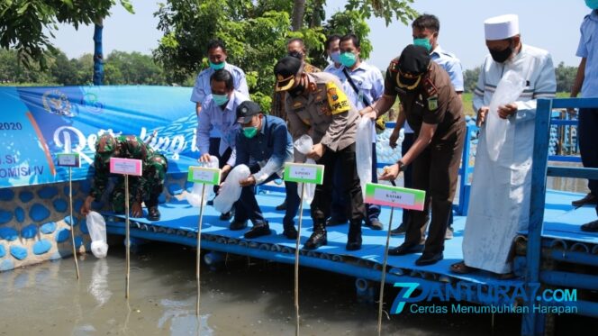 
					Tekan Impor, 20 Ribu Benih Ikan Disebar