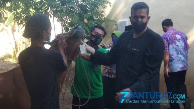 
					Walikota-ASN Patungan Sumbang 6 Sapi dan 22 Domba