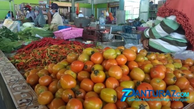 
					Harga Tomat Anjlok, Petani Menjerit