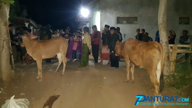 
					Tepergok Curi Sapi, Di-Dor