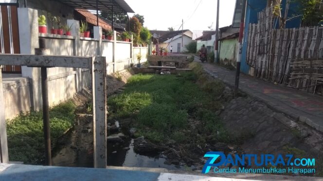 
					Sungai di Wiroborang Dangkal, Ditumbuhi Rerumputan