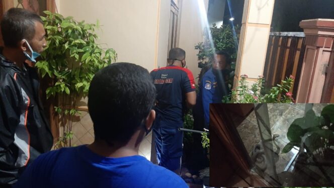 
					Ular Kobra Berkeliaran, Warga Panik