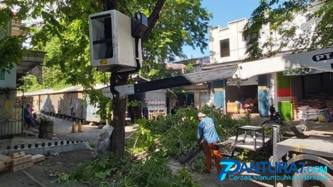 
					Musim Hujan, PLN-DLH Pangkas Pohon Dekat Aliran Listrik