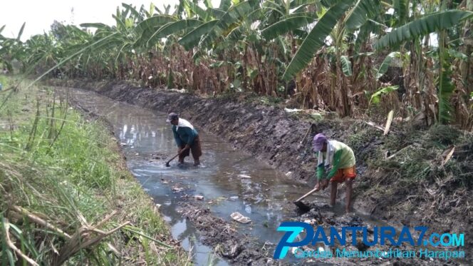 
					Anggaran Proyek Irigasi di Gempol Terserap 50 Persen, Sisanya Kemana?