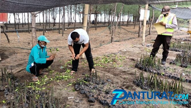 
					Pembabat Bibit Mangrove Pantai Duta Diburu Polisi