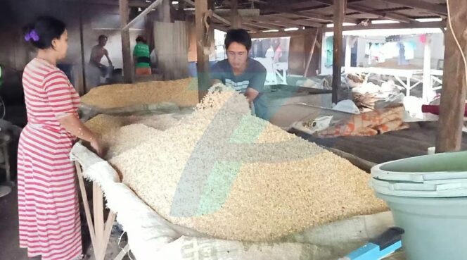 
					Harga Kedelai Melambung, Produsen Tahu-tempe Linglung