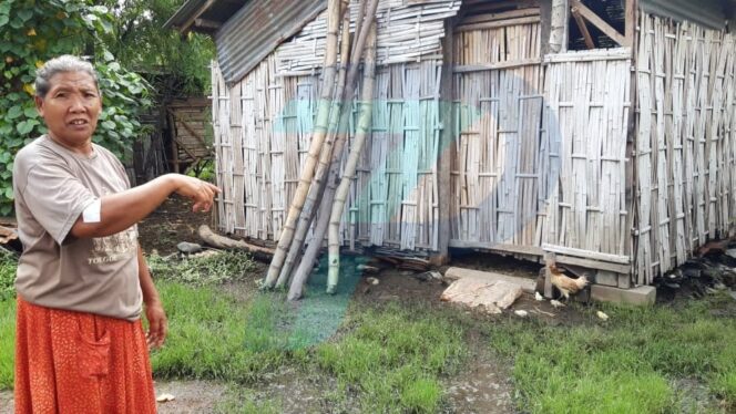 
					Teror Curwan Kembali Terjadi, 2 Ekor Sapi di Kademangan Raib
