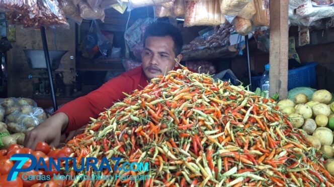 
					Pedas! Harga Cabai Rawit di Kota Probolinggo Tembus Rp. 75 Ribu Per Kg