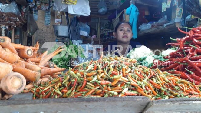 
					Harga Cabai Terus Meroket, Tembus Rp 90 Ribu per Kg