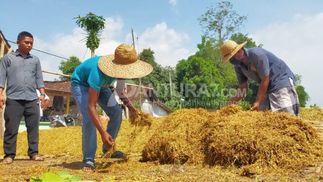 
					Cukai Rokok Naik, APTI Khawatir Rokok Ilegal Marak