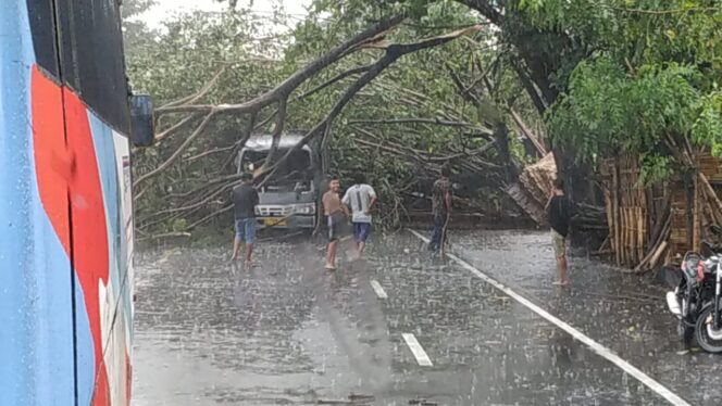 
					Pohon Tumbang Timpa Elf, Korban Selamat