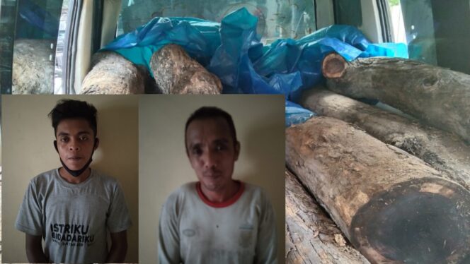 
					Curi Kayu Hutan, Dua Pria Banyuanyar Diringkus Polisi