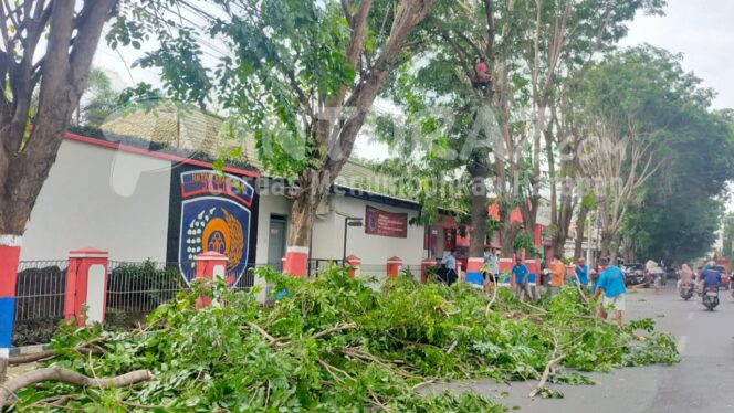
					Dinilai Bahayakan Napi, Dahan Pohon Dipangkas