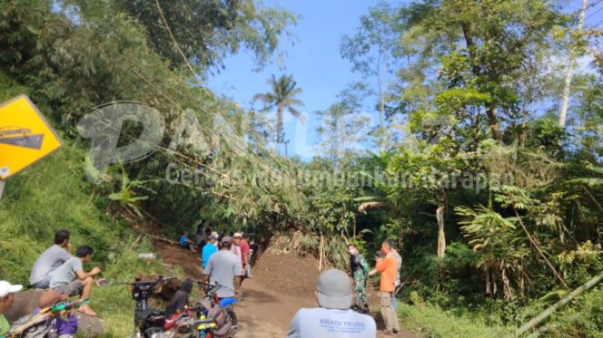 
					Warga Gotong Royong Pindahkan Rumpun Bambu di Jalan
