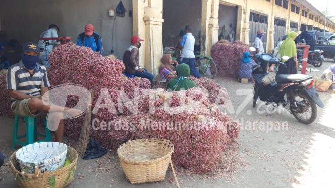 
					Harga Bawang Merah Stabil, Pedagang Ngaku Rugi