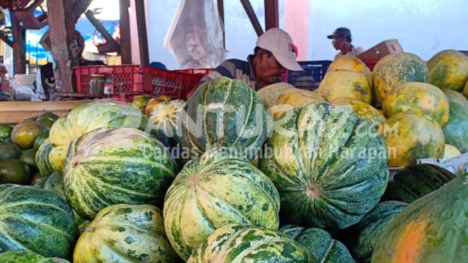 
					Blewah, Buah Favorit Buruan Emak-emak