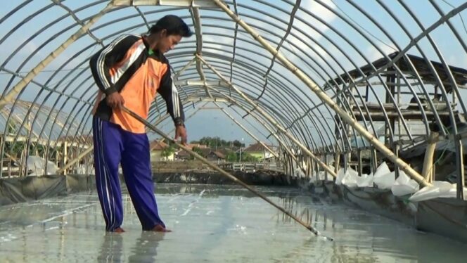
					Sempat Terhambat Cuaca, Produksi Garam Dimulai