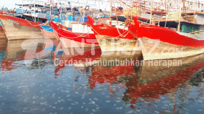 
					Jutaan Ekor Ubur-ubur ‘Serang’ Perairan Probolinggo, Warga Takut
