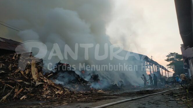 
					Tumpukan Limbah Kayu di PG Gending Terbakar