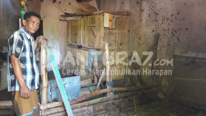 
					Ditinggal Nonton Piala Eropa, Dua Ekor Sapi Raib Digondol Maling