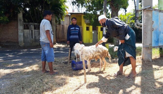 
					Hingga Hari H, Penjualan Kambing Qurban Tetap Lesu