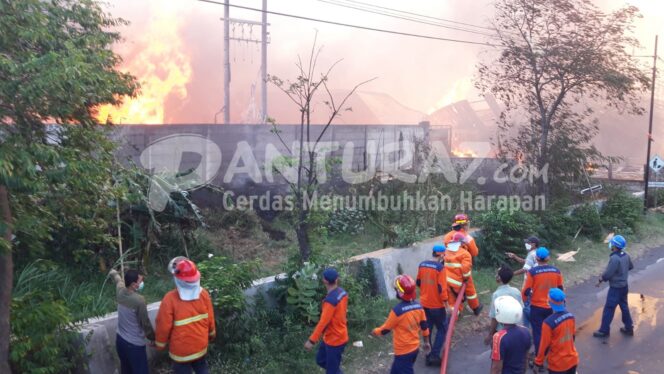 
					Pabrik Kayu Milik Anggota DPRD Terbakar, Api Sulit Dipadamkan