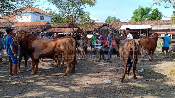 
					PPKM Darurat, Satgas Covid Atur Pemotongan Hewan Kurban