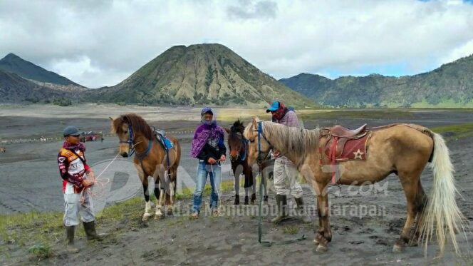 
					Wisata Gunung Bromo Dibuka, Okupansi Hotel Masih 5%
