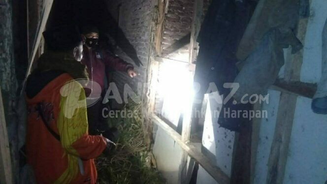 
					Ditinggal Ziarah, Kandang Sapi di Krucil Dilempar Bondet