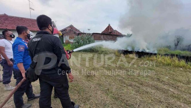 
					Bocah Bakar Ilalang, Api Nyaris Sambar Rumah Warga