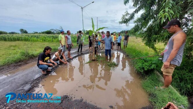 
					Jalan Desa Rusak Tak Diperbaiki, Warga Tanam Padi dan Pisang