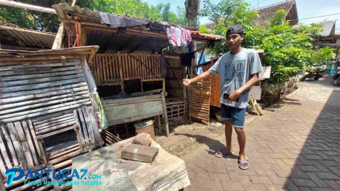 
					Tiga Kambing Warga Kareng Lor Digondol Maling
