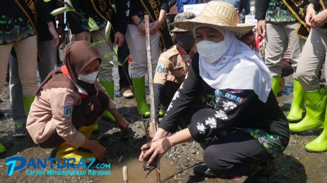 
					Jaga Ekosistem Alam, Gubernur Khofifah ‘Tandur’ Mangrove di Pantai Bohay Paiton