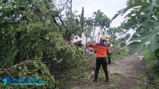 
					Lima Kecamatan di Probolinggo Dilanda Puting Beliung