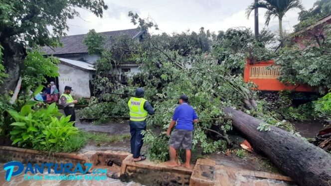 
					La Nina Berkurang, Musim Kemarau Diprediksi Mei-Juni