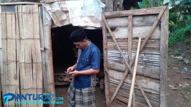 
					Hendak Diberi Pakan, Sapi Betina Bunting Dicuri