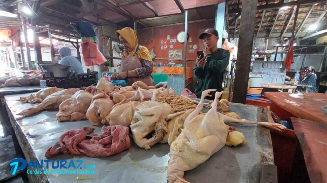
					Sejak Awal Januari, Daging Ayam Pedaging Rp40 Ribu