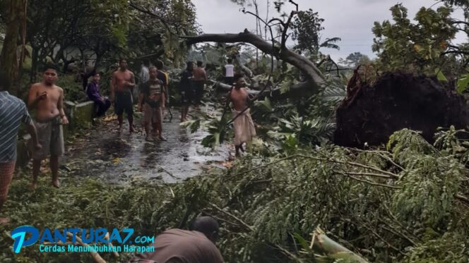 
					Sepanjang Januari 2022, 33 Bencana Landa Probolinggo
