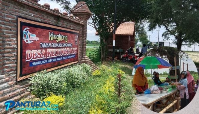
					Ada Taman Kingkong di Kedungcaluk Krejengan, Apa Itu?
