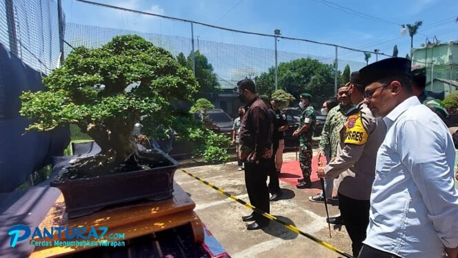 
					Ratusan Bonsai Unjuk Keindahan di Even Nasional 