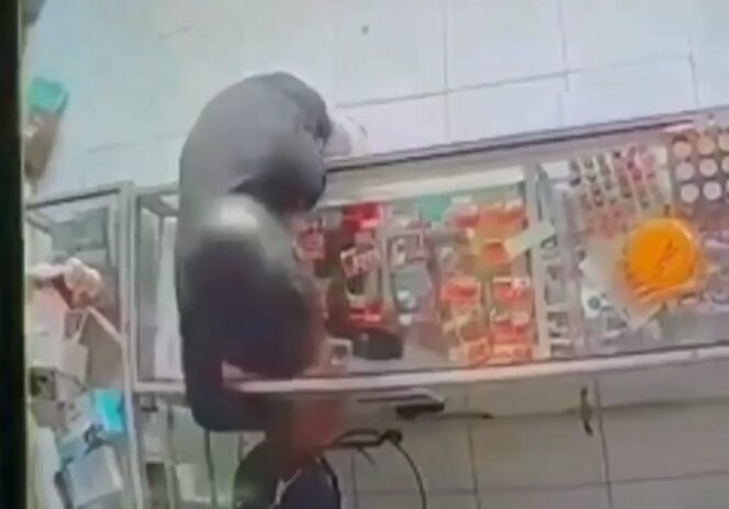 
					Nyaru Jadi Pembeli, Maling Bawa Kabur Puluhan Kartu Perdana