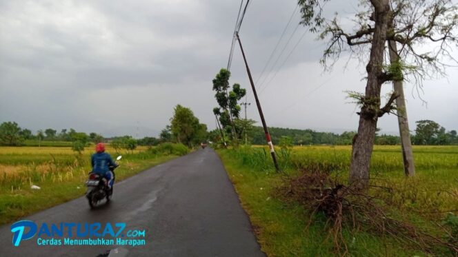 
					BERBAHAYA: Kondisi tiang telkom di jalur Kraksaan-Gading yang membahayakan. 